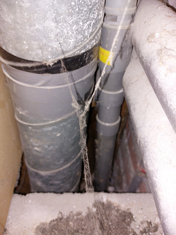 Afbeeldingslocatie: https://tweakers.net/i/eiSwIThZyeAQeglfniEHNDqu9VE=/x800/filters:strip_icc():strip_exif()/f/image/68QOTMuBeeJcWqFVyOX5CZPw.jpg?f=fotoalbum_large