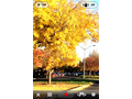 Luma-app