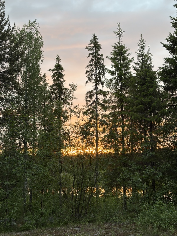 Afbeeldingslocatie: https://tweakers.net/i/enzkIakLHduXNF5ID3Jn15F68oY=/x800/filters:strip_icc():strip_exif()/f/image/rbD1rvQkM0fFrEaVt80PT3Wi.jpg?f=fotoalbum_large