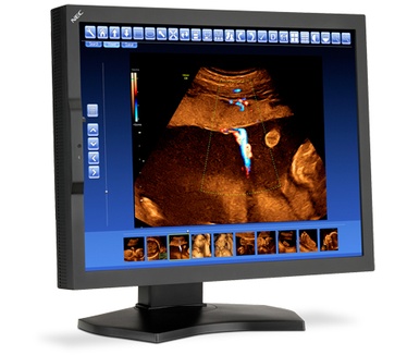 NEC MD210C2