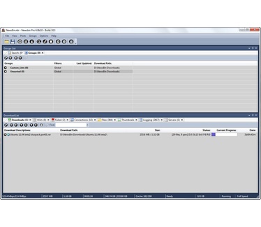 NewsBin Pro 6.00 build 913 bèta 10 screenshot (481 pix)