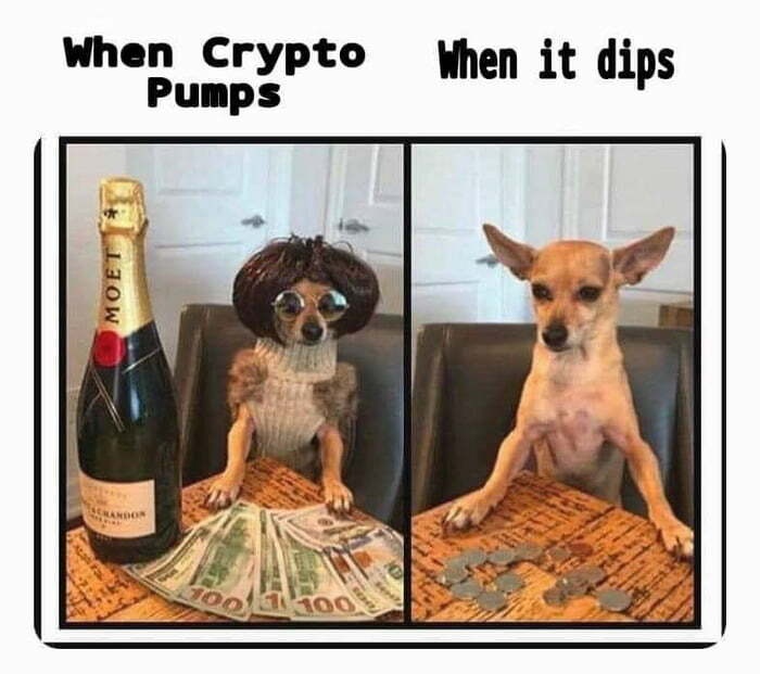 Afbeeldingslocatie: https://tweakers.net/i/evrjXJWFfO9Y3motR8mk756AWQ4=/full-fit-in/4920x3264/filters:max_bytes(3145728):no_upscale():strip_icc():fill(white):strip_exif()/f/image/NeUKIavpdv2DPpwykYbfJaQ0.jpg?f=user_large