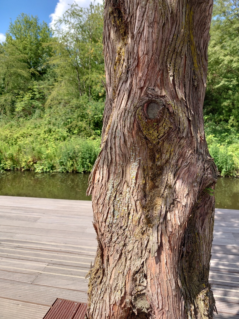 Afbeeldingslocatie: https://tweakers.net/i/ew_zGMBHPxGX_EzkuT5RRJnqVIo=/800x/filters:strip_icc():strip_exif()/f/image/V7CoUn6fvzKN1HIhOXmK0dx6.jpg?f=fotoalbum_large