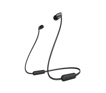 Sony WI-C310