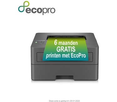 Brother HL-L2400DWE (met 4 maanden EcoPro printabonnement)