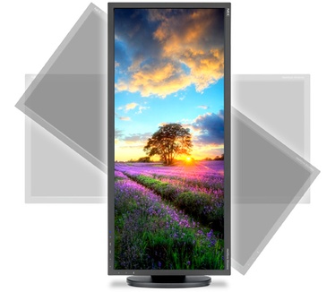 NEC MultiSync EA294WMi Zwart