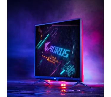Gigabyte AORUS FO48U Zwart