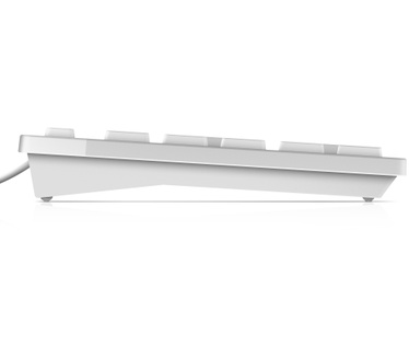 Dell KB216 (Qwerty US) Wit