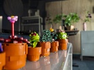 Nabewerkte rawfoto's in weinig licht - extended