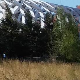 Fotovergelijking 2 - LG G2 (5 megapixel) (crop) Fotovergelijking 2 - LG G2 (5 megapixel) (crop)