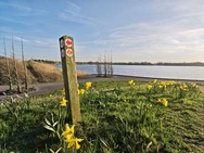 Cameratest Xiaomi 17 - Ultrawide