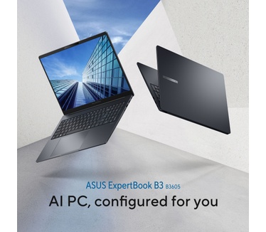 ASUS B3605CCA-MB0370X