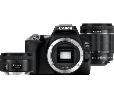 Canon EOS 250D + 18-55mm f/4-5.6 + 50mm f/1.8 Zwart