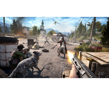 Far Cry 5, PS4