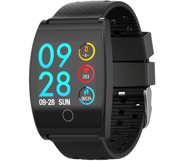 Garett Electronics Sport 22
