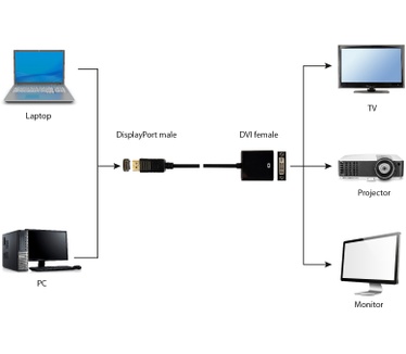 Gembird A-DPM-DVIF-002 DisplayPort to DVI adapter cable. Black Zwart