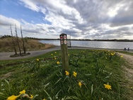 Phone 4a Pro cameratest - Ultragroothoek