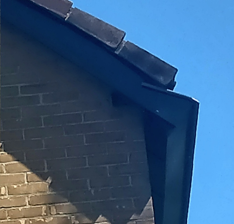 Afbeeldingslocatie: https://tweakers.net/i/fNmNjiuGZbDKBNwl0VT5c_99Utg=/800x/filters:strip_icc():strip_exif()/f/image/KqmFm2XGu0MuOEDeowlM1KsV.jpg?f=fotoalbum_large