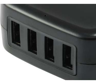 Conceptronic Althea