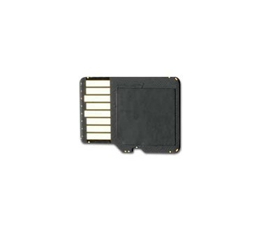 Garmin 4GB microSD