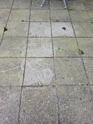 Afbeeldingslocatie: https://tweakers.net/i/fTRgxBHrBBS_vy1ccRIb4DvEQ8A=/full-fit-in/4920x3264/filters:max_bytes(3145728):no_upscale():strip_icc():fill(white):strip_exif()/f/image/NighsRiWiMDeMt8TwNCqVcl2.jpg?f=user_large