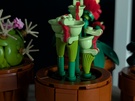Cameratest - 2x zoom