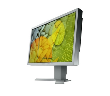 Eizo Flexscan S2202WE Grijs