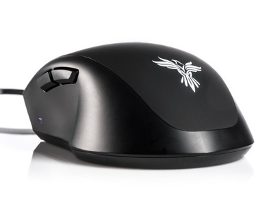 Feenix vitesse