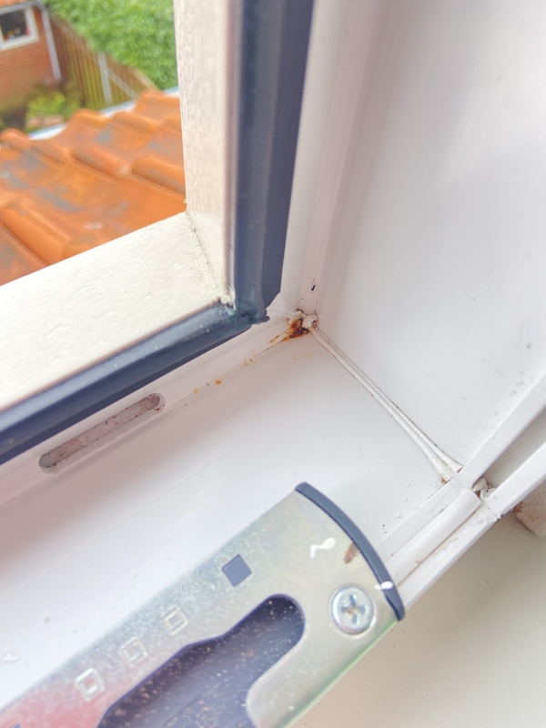 Afbeeldingslocatie: https://tweakers.net/i/fW4NuObM_Ew9iANkTzHzi81nIBs=/x800/filters:strip_icc():strip_exif()/f/image/a1R05LvD182il5EfZfM6eIAF.jpg?f=fotoalbum_large