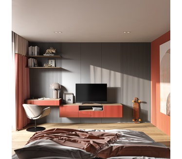 Loewe bild c.32