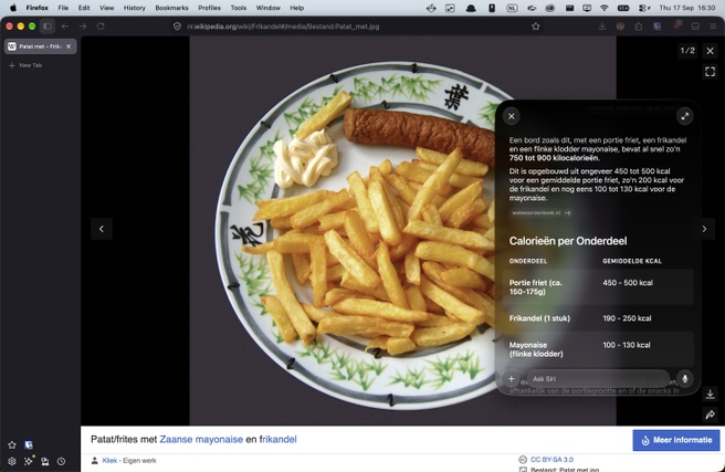 Siri AI Visual Intelligence
