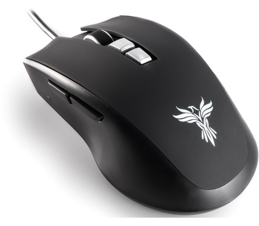 Feenix vitesse
