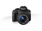 Canon EOS 100D + EF-S 18-55mm f/3.5-5.6 IS STM Zwart