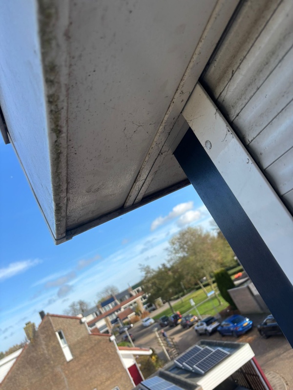 Afbeeldingslocatie: https://tweakers.net/i/faepzf5ZEq0qdWkmq0S_SuWAYdc=/x800/filters:strip_icc():strip_exif()/f/image/CeZ2xWsfD9Wv7WKr5CW8KN4S.jpg?f=fotoalbum_large