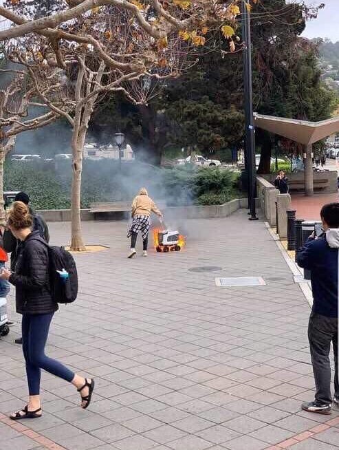 rip kiwibot