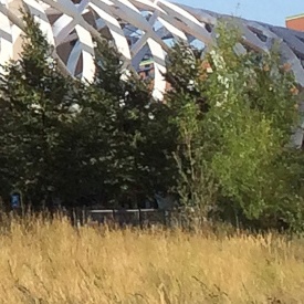 Fotovergelijking 2 - iPhone 5S (5 megapixel) (crop) Fotovergelijking 2 - iPhone 5S (5 megapixel) (crop)
