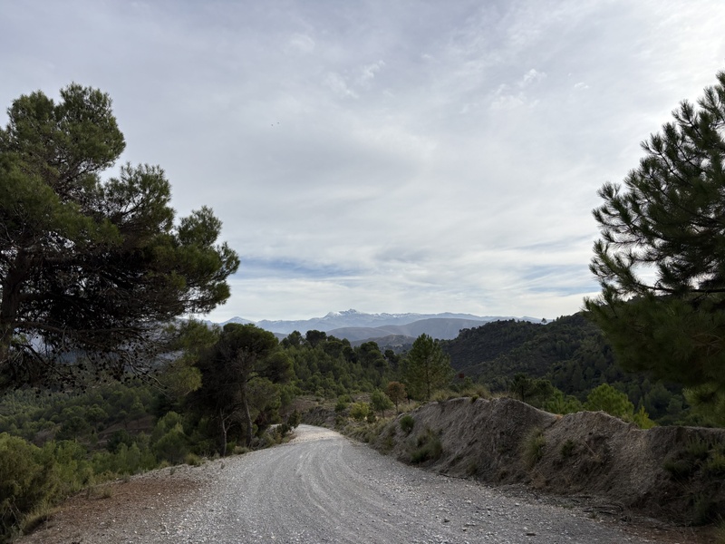 Afbeeldingslocatie: https://tweakers.net/i/febSE83AZKrN-zFxkCOYvV7Gga0=/800x/filters:strip_icc():strip_exif()/f/image/i144hG5IFEQUVbkvc4c9gHxs.jpg?f=fotoalbum_large