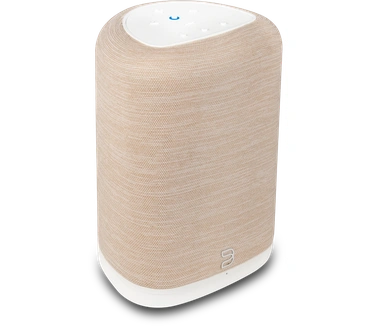 Bluesound Pulse Flex (2025) Wit/Bruin