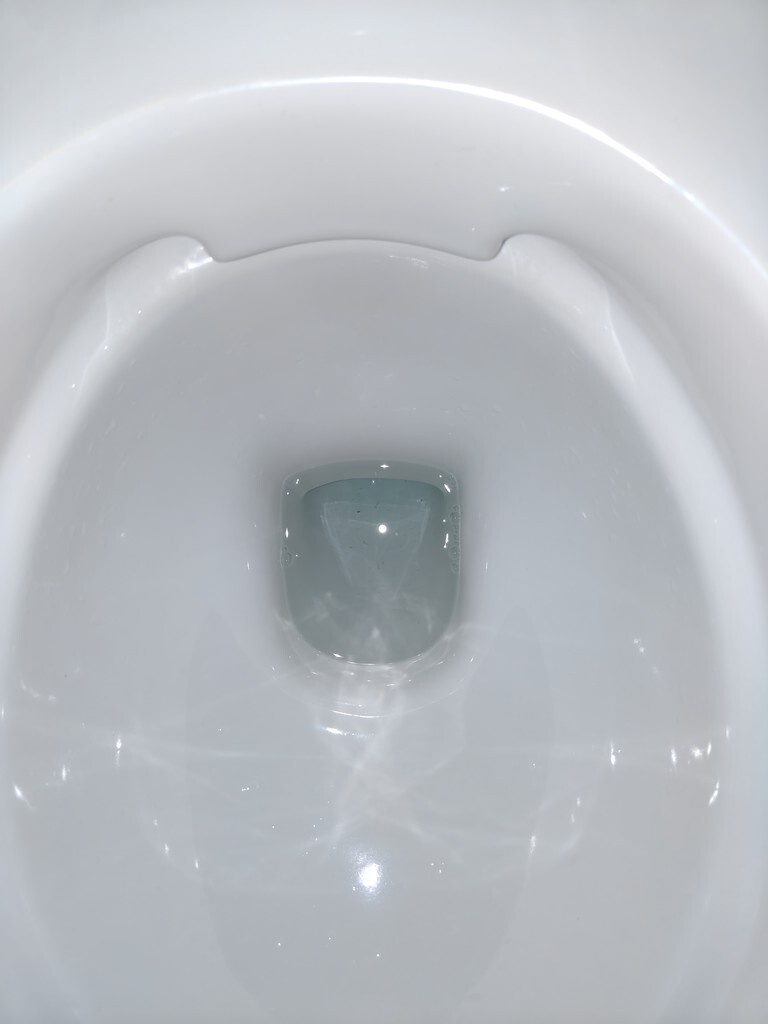 Schoongemaakte en ontkalkte Geberit randloze wcpot