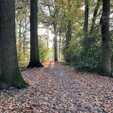 Afbeeldingslocatie: https://tweakers.net/i/fkLluJWi3mgZqkTBjaCf4sehXx0=/232x232/filters:strip_icc():strip_exif()/f/image/y04sHaM3gQE8DUykWZLtbgMF.jpg?f=fotoalbum_tile