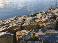 OnePlus 15 cameratest - 2x zoom