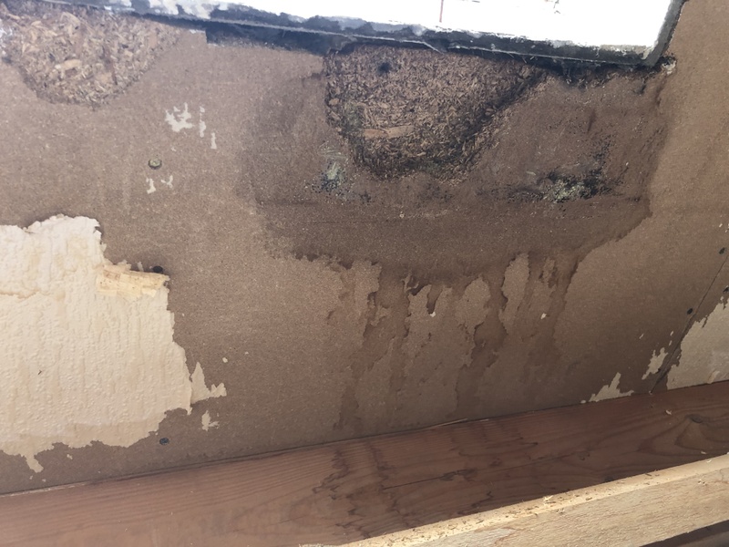 Afbeeldingslocatie: https://tweakers.net/i/fm-jg6ne62hmV679_LLUByZmjYg=/800x/filters:strip_icc():strip_exif()/f/image/uSNREBeXHe9UZzOZXMc0yx9V.jpg?f=fotoalbum_large