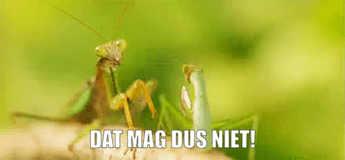 Afbeeldingslocatie: https://tweakers.net/i/foJNmY15L7DCKfZOoyIFfF8MMmE=/fit-in/4000x4000/filters:no_upscale():gifsicle():strip_exif()/f/image/XnX8hu9FKyo3zZ7Ocjzf7Zzm.gif?f=user_large