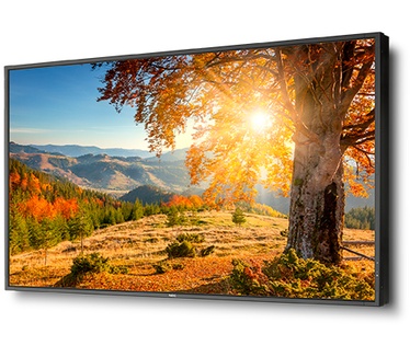 NEC X754HB