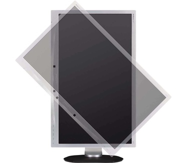 Philips 220P4LPYES Zilver