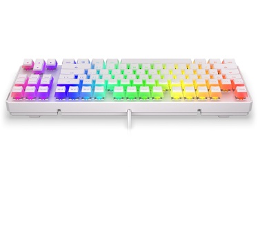 ENDORFY Thock TKL