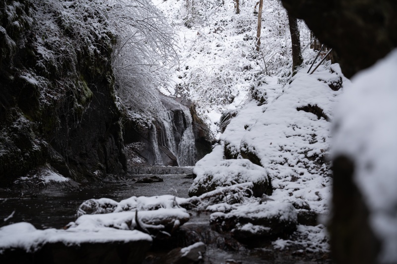 Afbeeldingslocatie: https://tweakers.net/i/g0FhCbDVRhQERPq_14cMuowF2u8=/800x/filters:strip_icc():strip_exif()/f/image/VVl8ae4DOhqb396YRVplM26v.jpg?f=fotoalbum_large