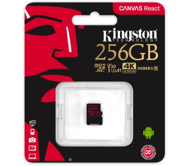 Kingston Canvas React