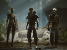Absolver
