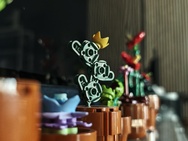 Cameratest Xiaomi 17 Ultra - 2x zoom